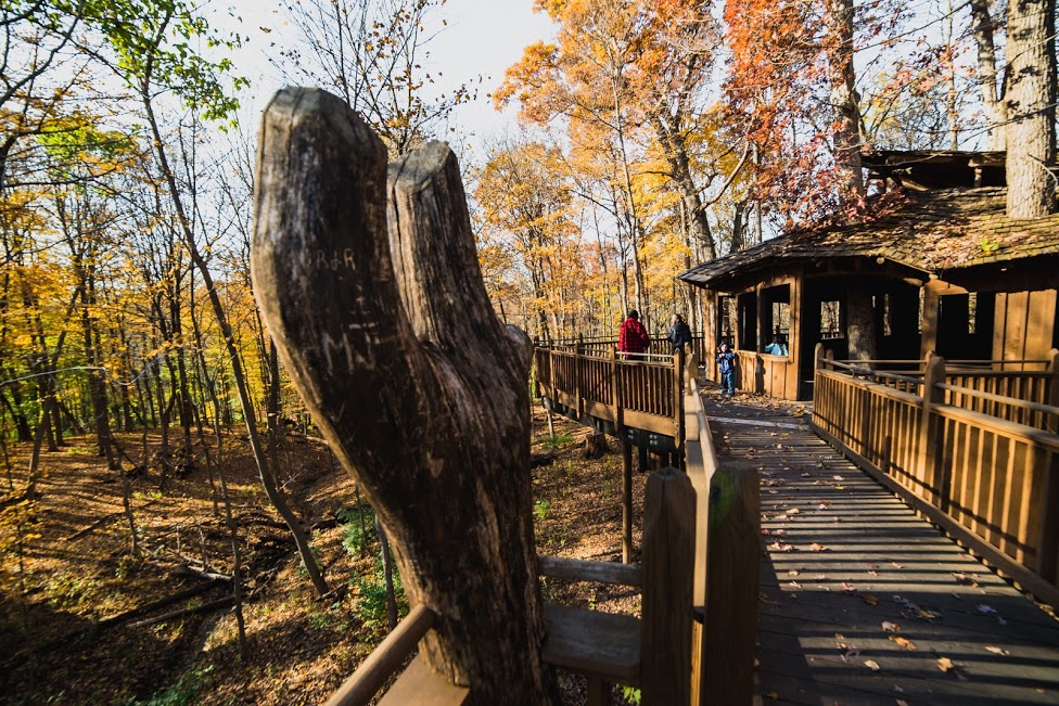 Mt. Airy forest is a popular place for hiking in a park in cincinnati