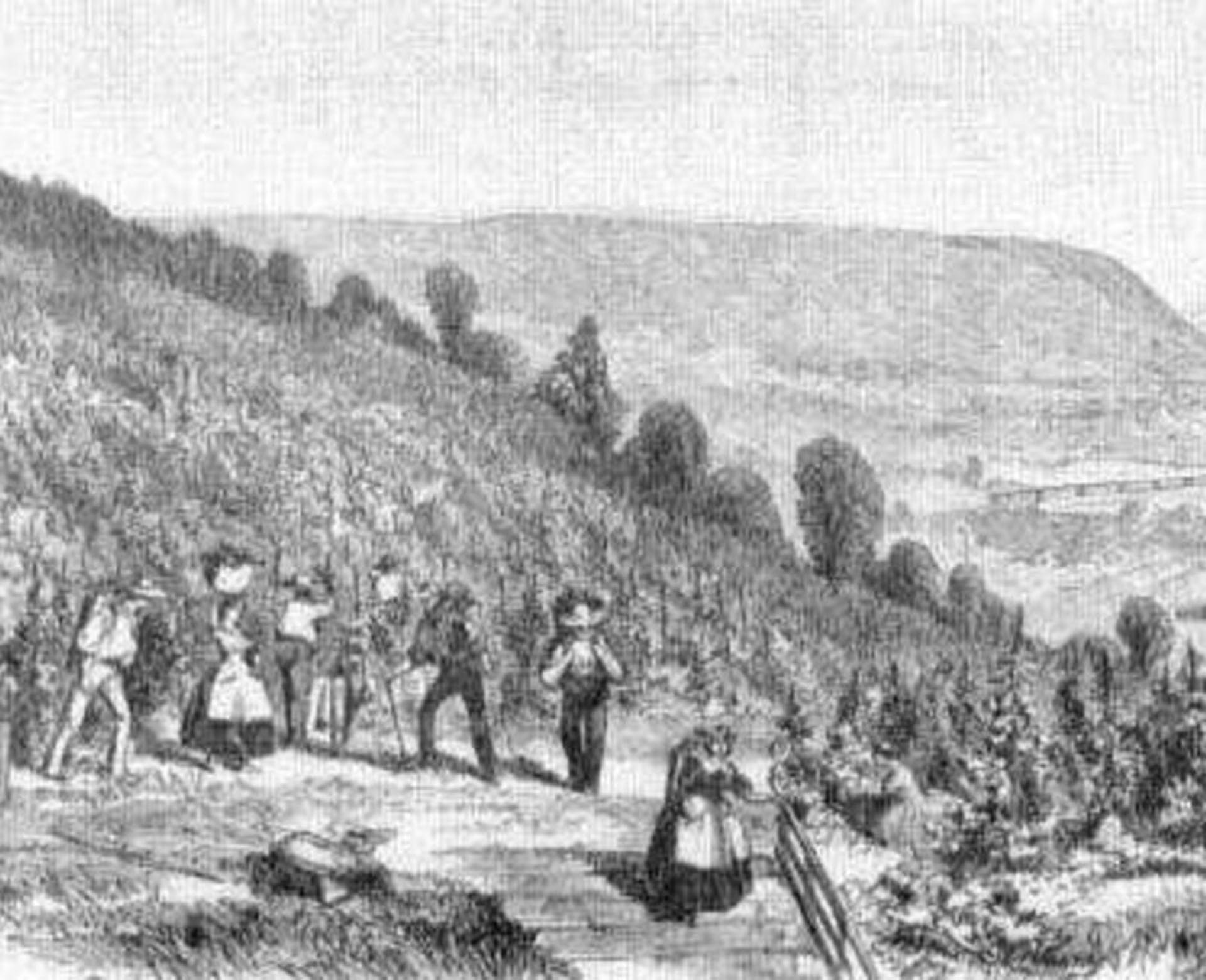 Skeleton Root Winery | Cincinnati Experience