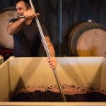 wine making process
