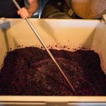 wine making process